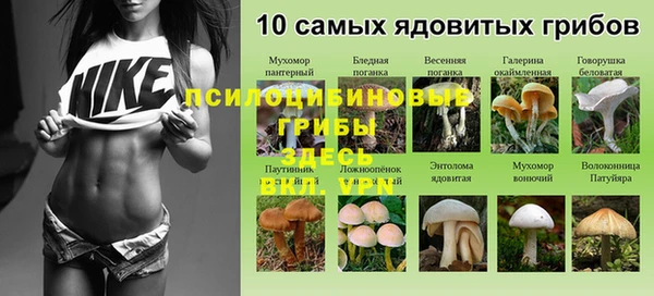 гашиш Абинск