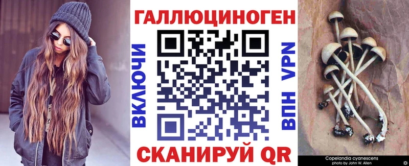 дарнет шоп  Истра  Галлюциногенные грибы Psilocybe 