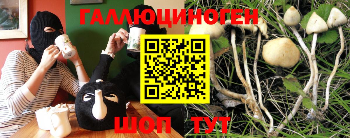 Истра  Псилоцибиновые грибы Cubensis  Псилоцибиновые грибы ЛСД  Вход с VPN 